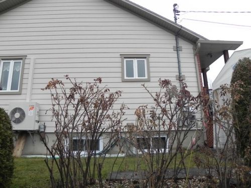 avant rno sans abri auto