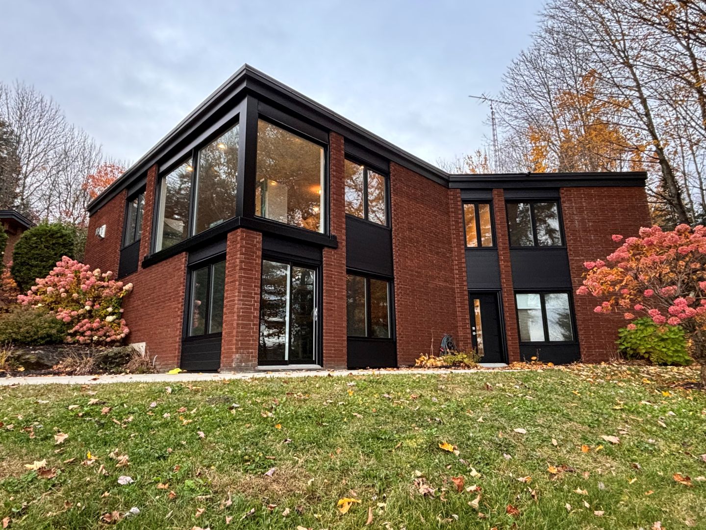 Racine, aprs rno ext